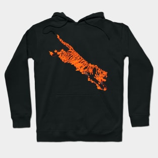 Fire Tiger Hoodie